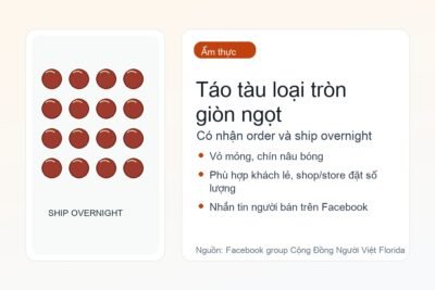 Táo tàu loại tròn giòn ngọt